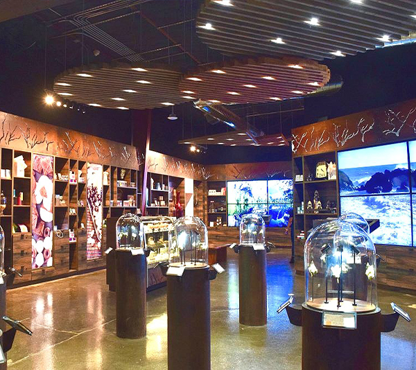Manzanita - Retail Fit-out